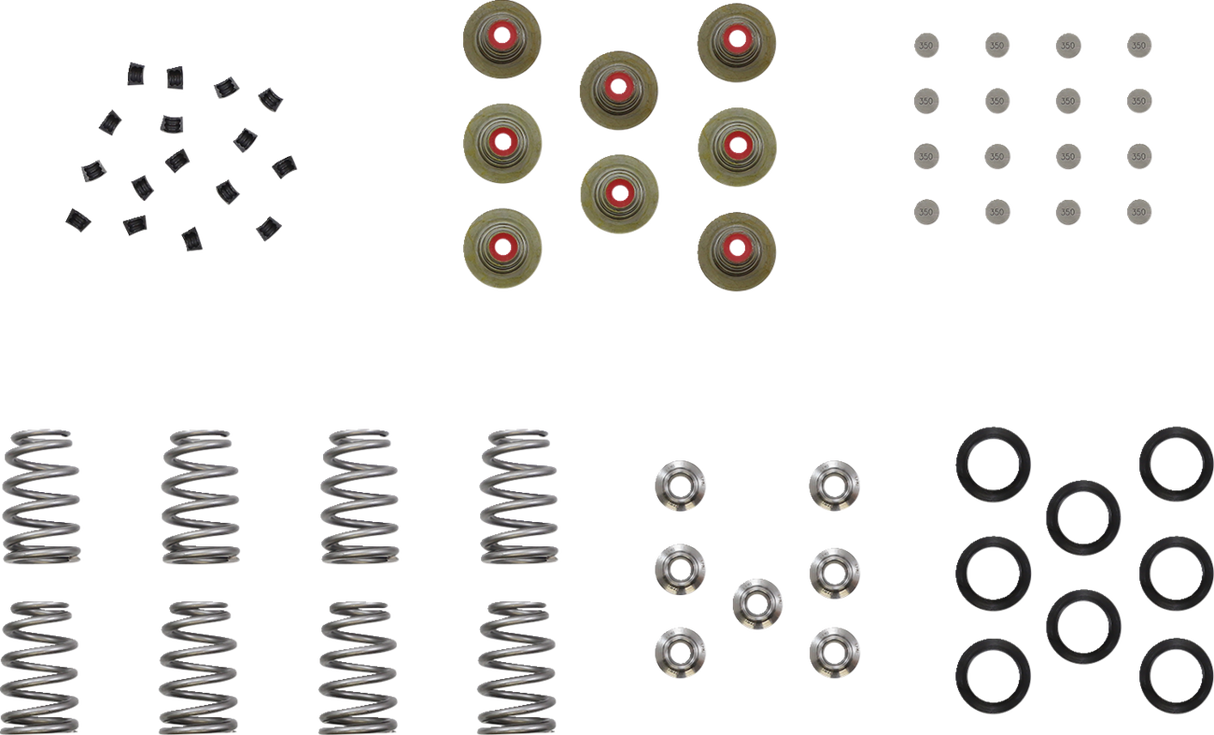 KIBBLEWHITE Beehive Shim Spring Kit 20-23900