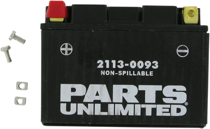 Parts Unlimited Agm Battery - Ytz14s Ctz14s