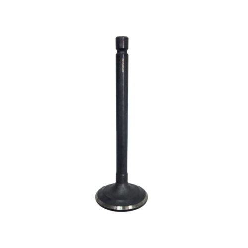 BRONCO Intake Valve AU-09152I
