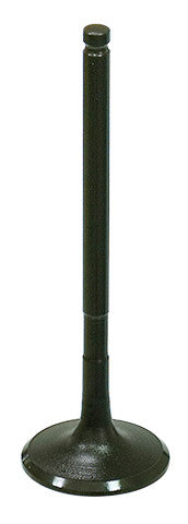 BRONCO Exhaust Valve AU-09205E