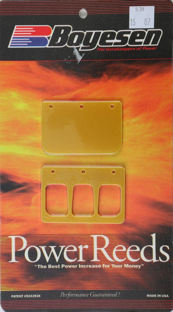 BOYESEN Snowmobile Reeds 538