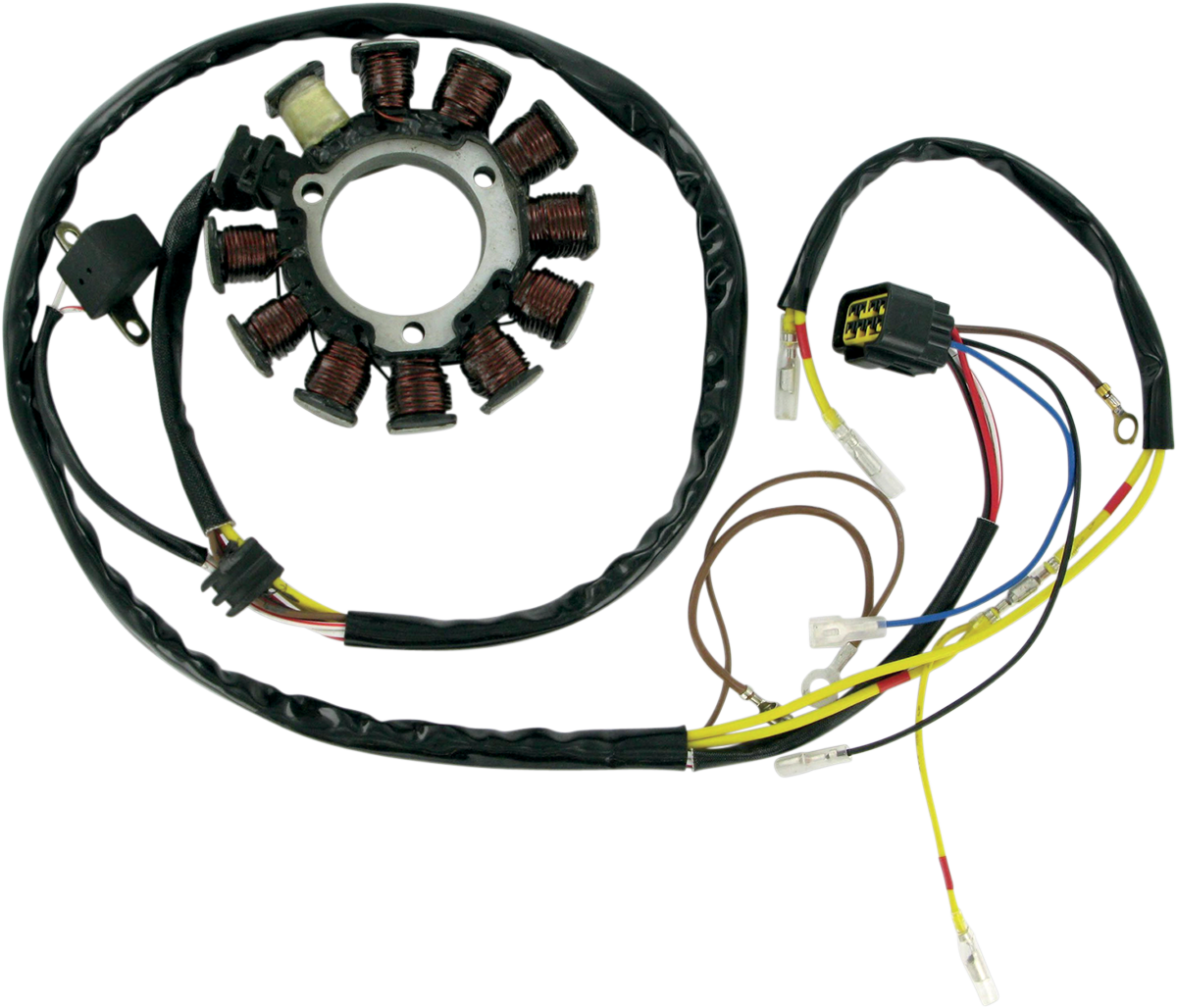 RICK'S MOTORSPORT ELECTRIC Stator 21-556