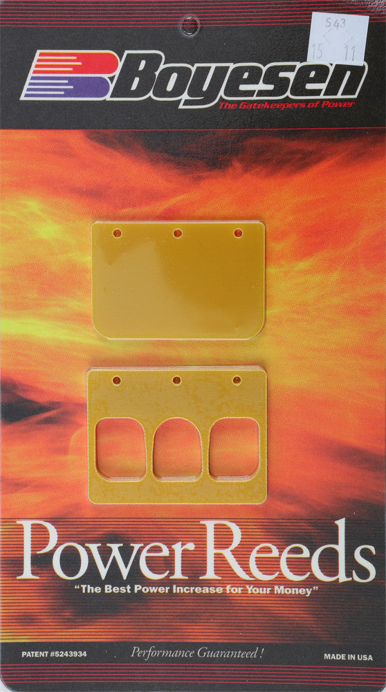 BOYESEN Snowmobile Reeds 543