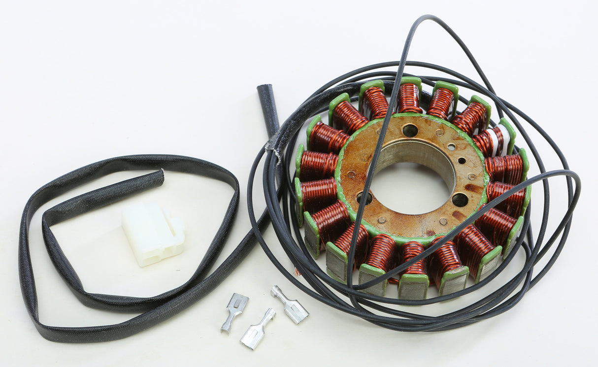 RICKS Stator 21-309
