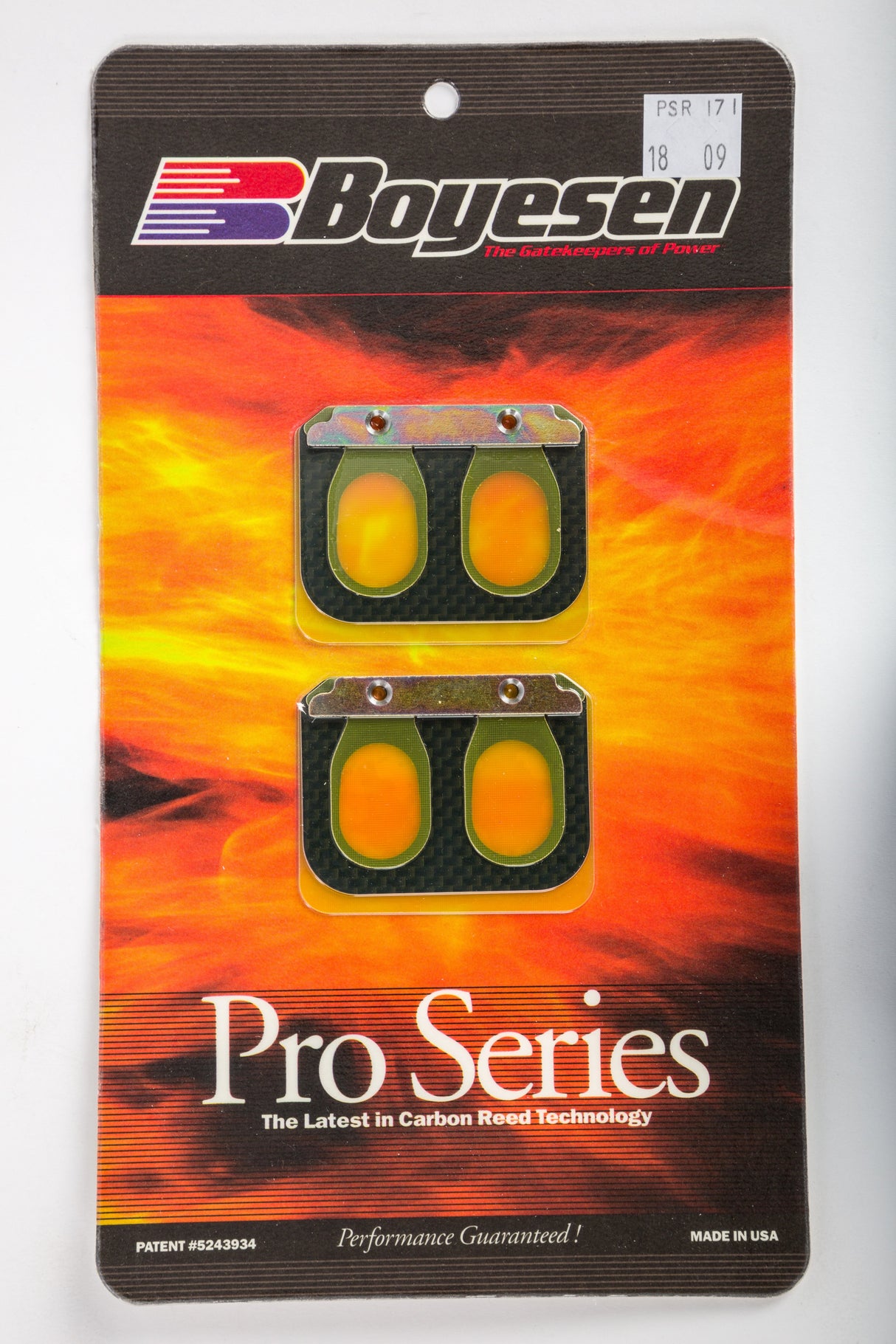 BOYESEN Motorcycle Pro Reeds PSR-171