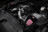 K&N 2024+ Ford Mustang V8 5.0L Typhoon Performance Air Intake System 69-3541TC