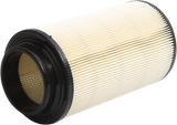 ALL BALLS Air Filter - Polaris 48-1005