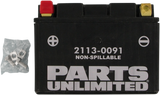 Parts Unlimited Agm Battery - Ytz12s Ctz12s