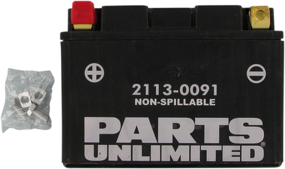 Parts Unlimited Agm Battery - Ytz12s Ctz12s