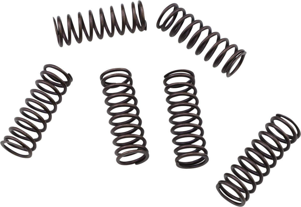 KG POWERSPORTS Clutch Spring Set KGS-807