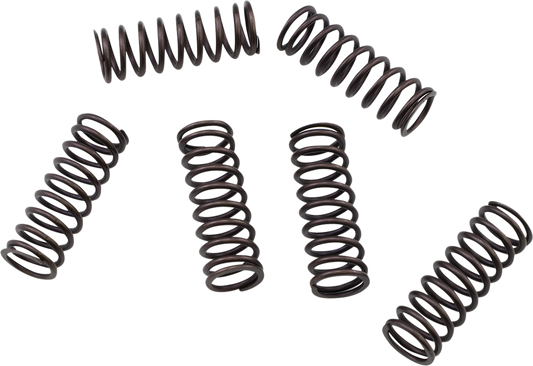 KG POWERSPORTS Clutch Spring Set KGS-807