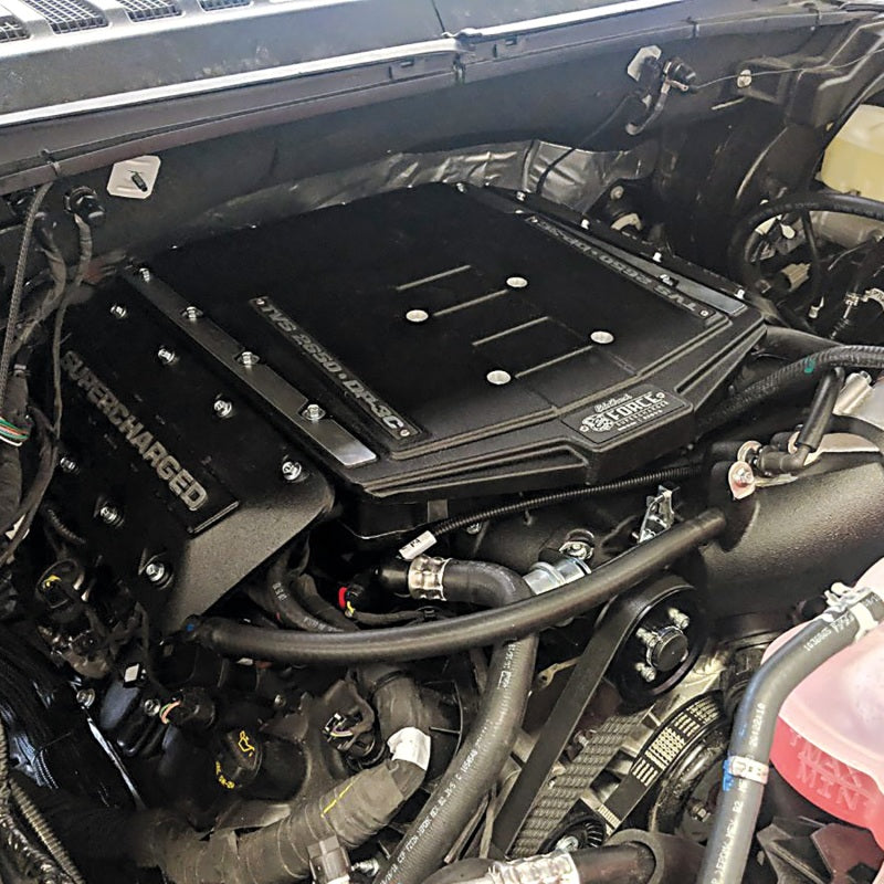 Edelbrock Supercharger Stage I R2650 2019 Ford F150 DI/PI 5.0L 15812
