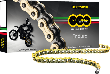 REGINA 520 ZSE - Drive Chain - 112 Links 135ZSE/1000