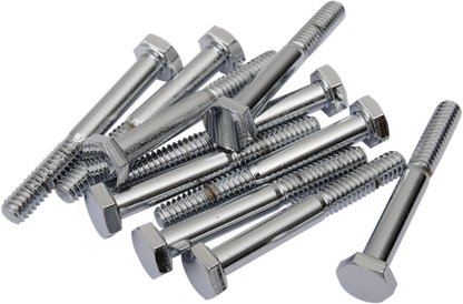 DRAG SPECIALTIES Bolts - Hex-Head - Chrome - 1/4"-20 x 1-3/4" MPB119