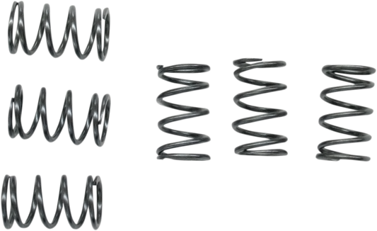 EBC Clutch Springs CSK40