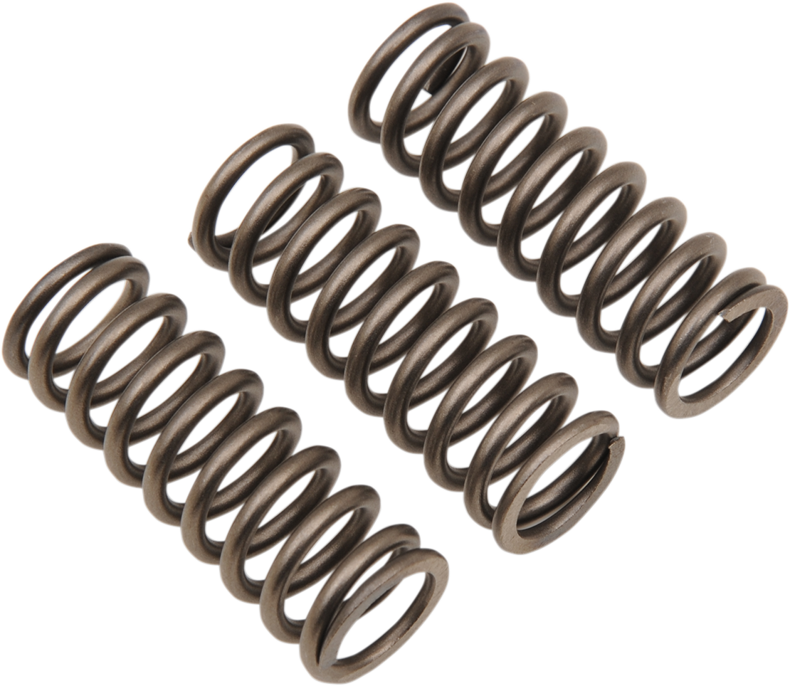 EBC Clutch Springs - 3 pack CSK242