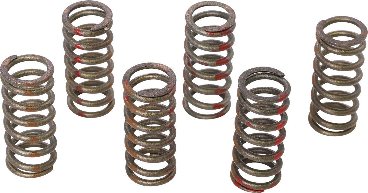 KG POWERSPORTS Clutch Spring Set KGS-001