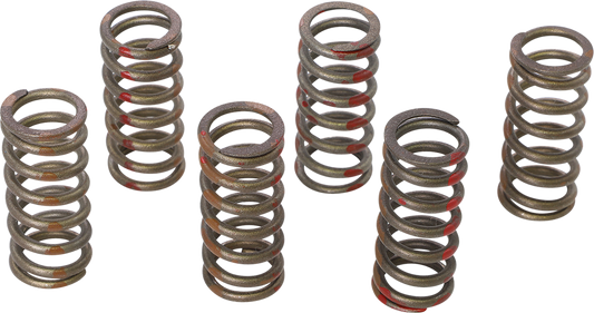 KG POWERSPORTS Clutch Spring Set KGS-001