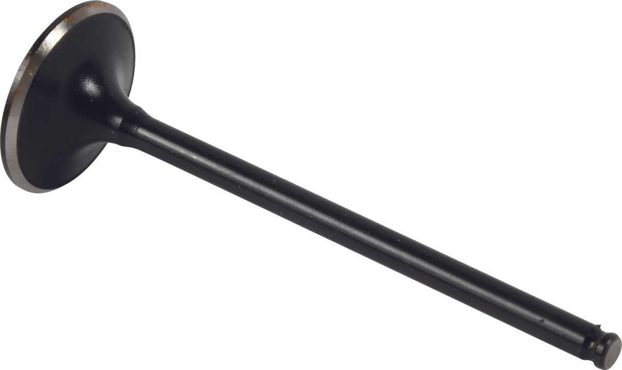 HOT CAMS Exhaust Valve Steel 8400001-5