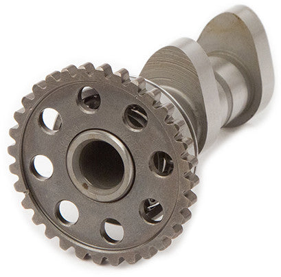 HOT CAMS Racing Cam Stage 2 4165-2IN