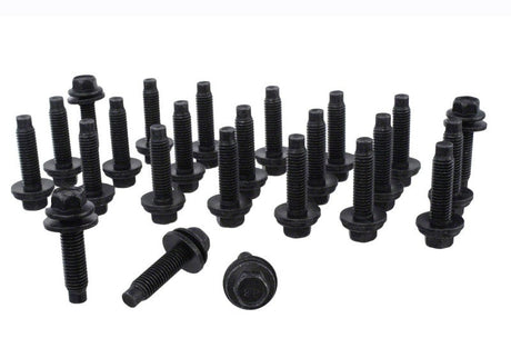 Ford Racing 2017 F-150 Raptor Bead Lock Ring Kit M-1021-F15RB