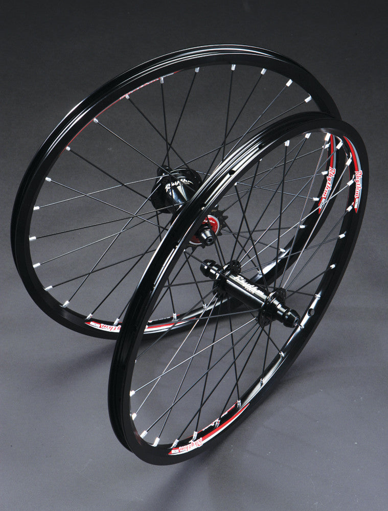 CRUPI S/S 91-7031k Rhythm Mini 20x1 1/8 28h Blk 38211