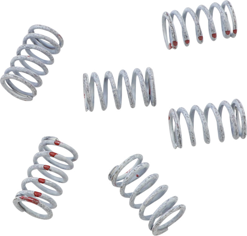 KG POWERSPORTS Clutch Spring Set KGS-047