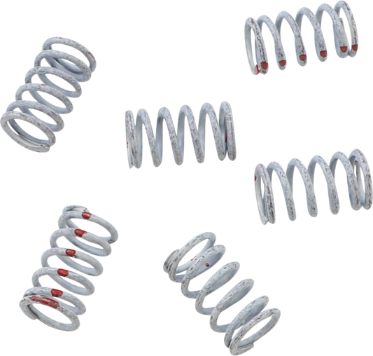 KG POWERSPORTS Clutch Spring Set KGS-047