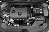 AEM 18-19 Hyundai Elantra L4-2.0L Cold Air Intake 21-869C