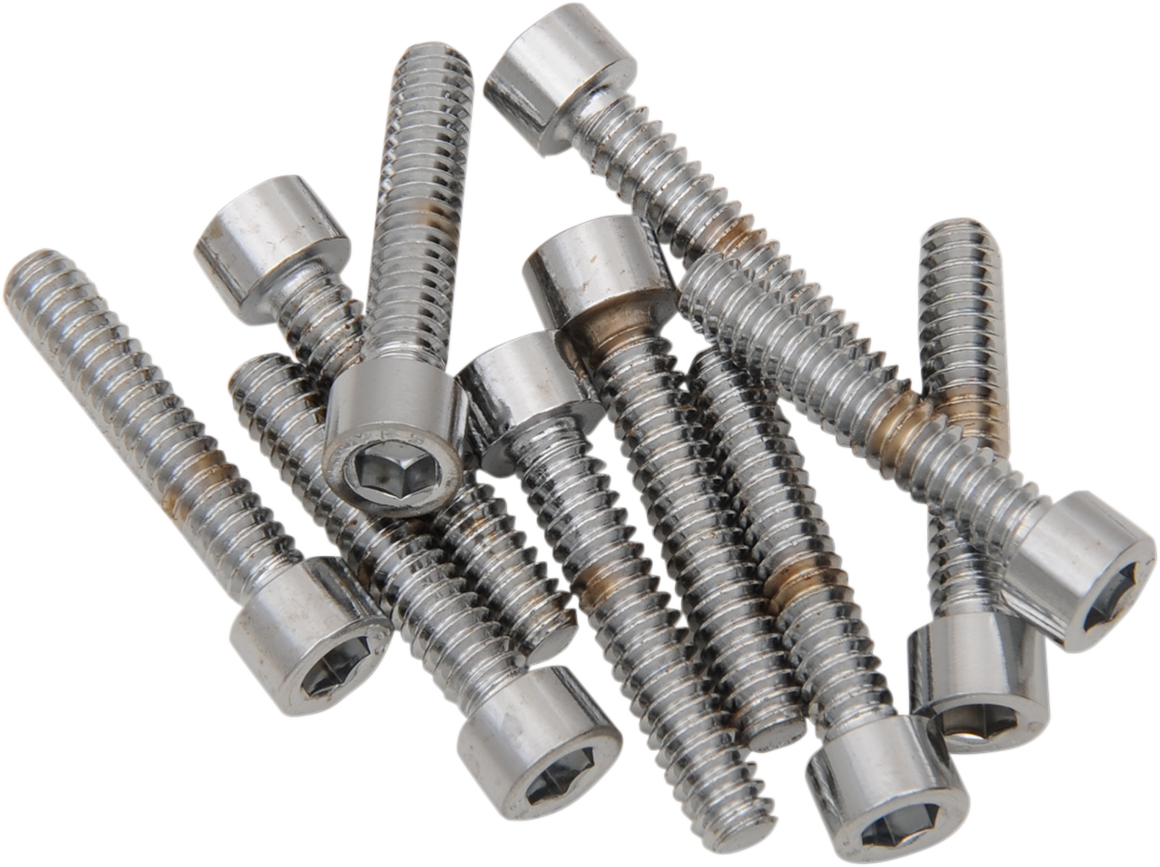 DRAG SPECIALTIES Bolts - Socket-Head - Smooth - 10-24 x 1-1/4" MPB196S