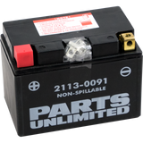 Parts Unlimited Agm Battery - Ytz12s Ctz12s