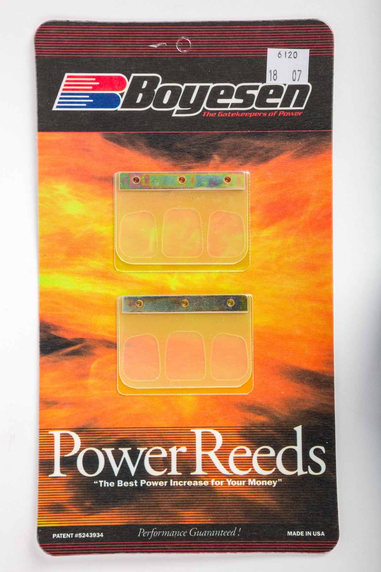 BOYESEN Motorcycle Reeds 6120