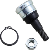 EPI Ball Joint - Lower WE350052