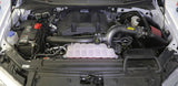 AEM 17-18 Ford F-150 3.5L V6 F/I Gunmetal Gray Cold Air Intake 21-8130DC