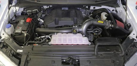 AEM 17-18 Ford F-150 3.5L V6 F/I Gunmetal Gray Cold Air Intake 21-8130DC