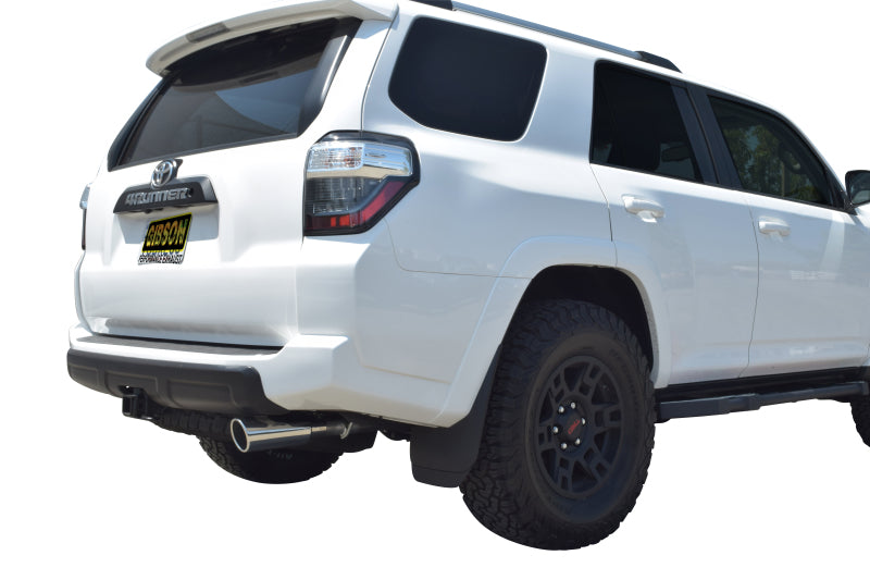 Gibson 04-22 Toyota 4Runner LImited 4.0L 2.5in Cat-Back Single Exhaust - Aluminized 18815