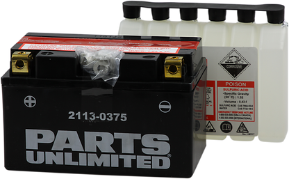 Parts Unlimited Agm Battery - Ytz10s-Bs Ctz10s-Bs