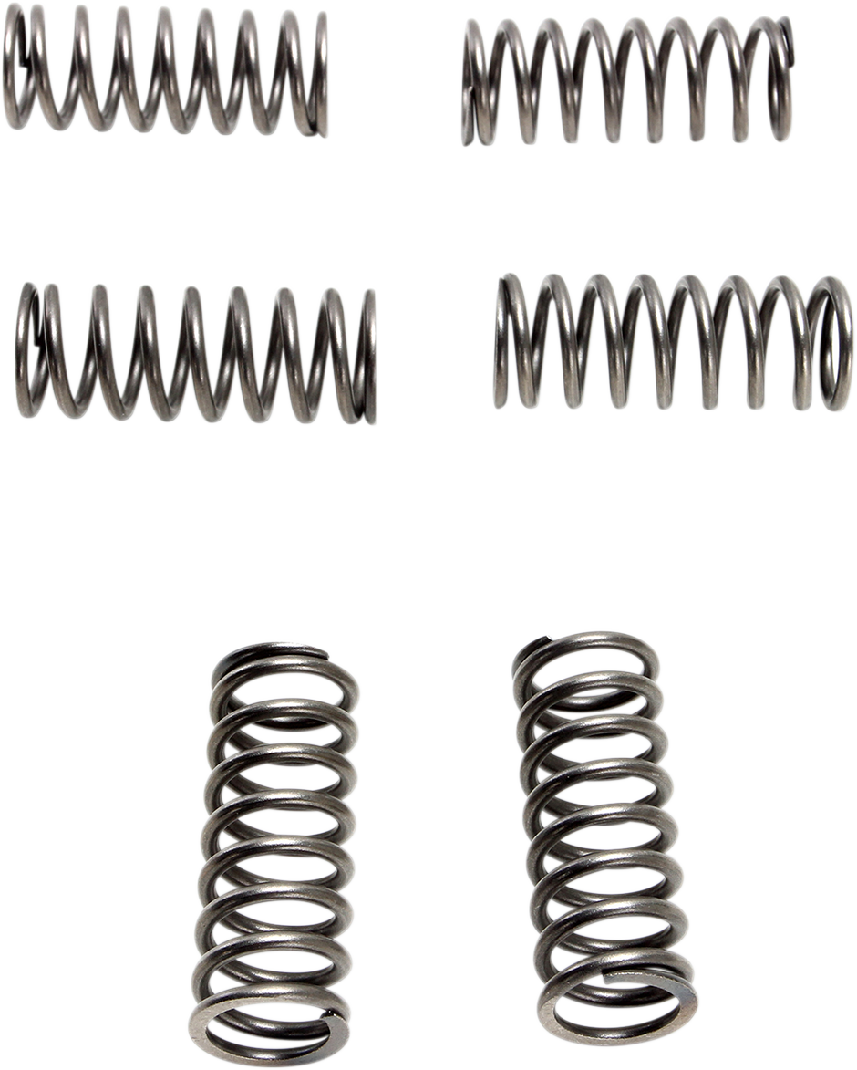 EBC Clutch Springs - 6 pcs. CSK198