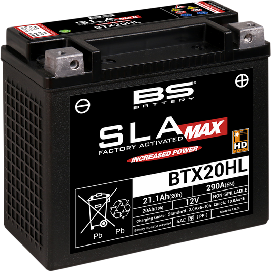 BS BATTERY Battery - BTX20HL (YTX) 300883