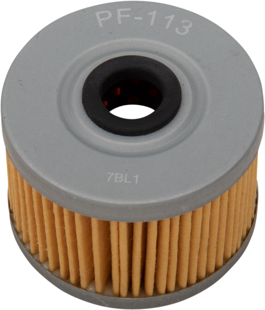 PRO FILTER Replacement Oil Filter PF-113