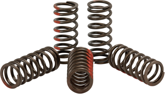 PRO CIRCUIT Clutch Springs CST09250