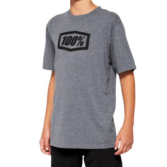 100% Youth Icon T-Shirt - Heather Gray - Large 20001-00010