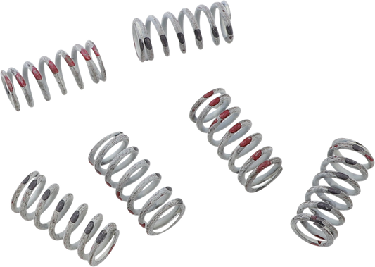 KG POWERSPORTS Clutch Spring Set KGS-008