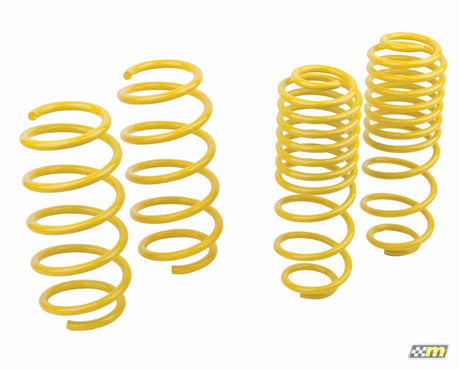 mountune Sport Spring Set 2014-2015 Fiesta ST 2364-MSK-BA