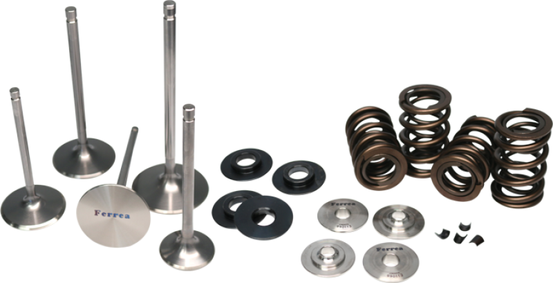 Ferrea Mitsubishi Evo X 4B11T Dual Spring Kit KT4014