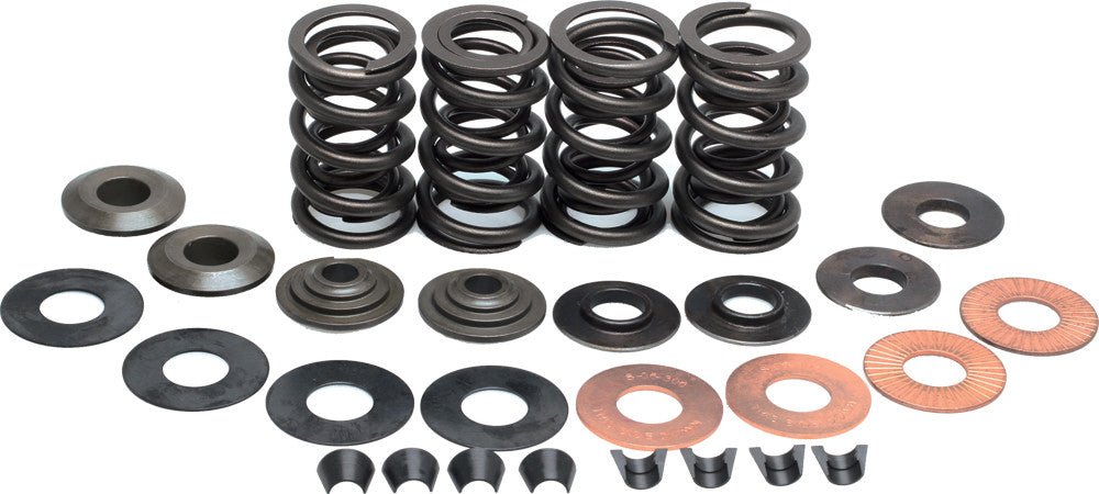 KPMIValve Spring Kit Hd .600 Lift Twi20-20364~OLD