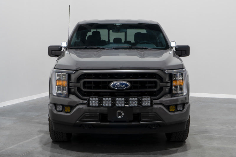 Diode Dynamics 21-22 Ford F-150 SS3 Stage Series Backlit Ditch Light Kit - Pro White Combo DD7371