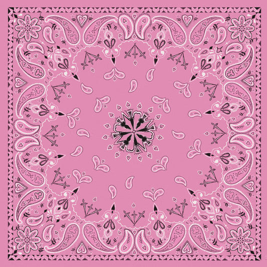 ZAN Bandanna Pink Paisley B015