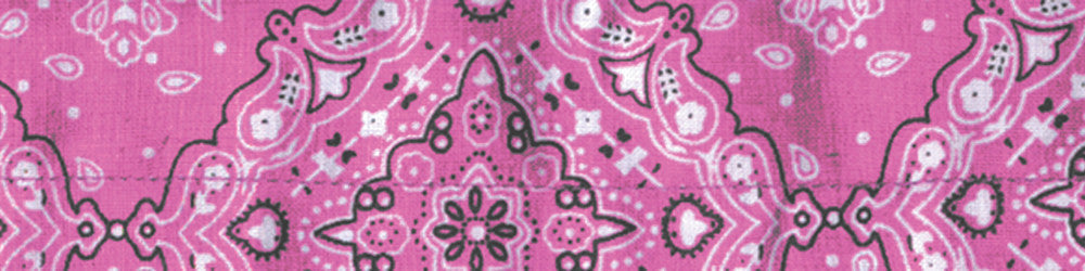 ZAN Cooldanna Pink Paisley DC122