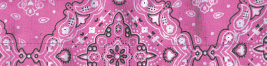 ZAN Cooldanna Pink Paisley DC122